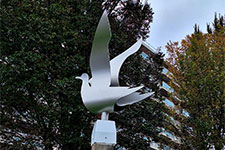 José Knippenberg "Hoekse Vogels" -  beelden in de openbare ruimte.