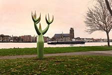 De "Hoornboom" van Gonda van der Zwaag.