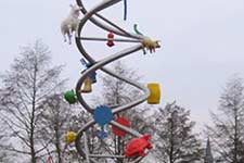 DNA-helix - Nicolas Dings - Gemeente Olst-Wijhe - gemeentehuis.